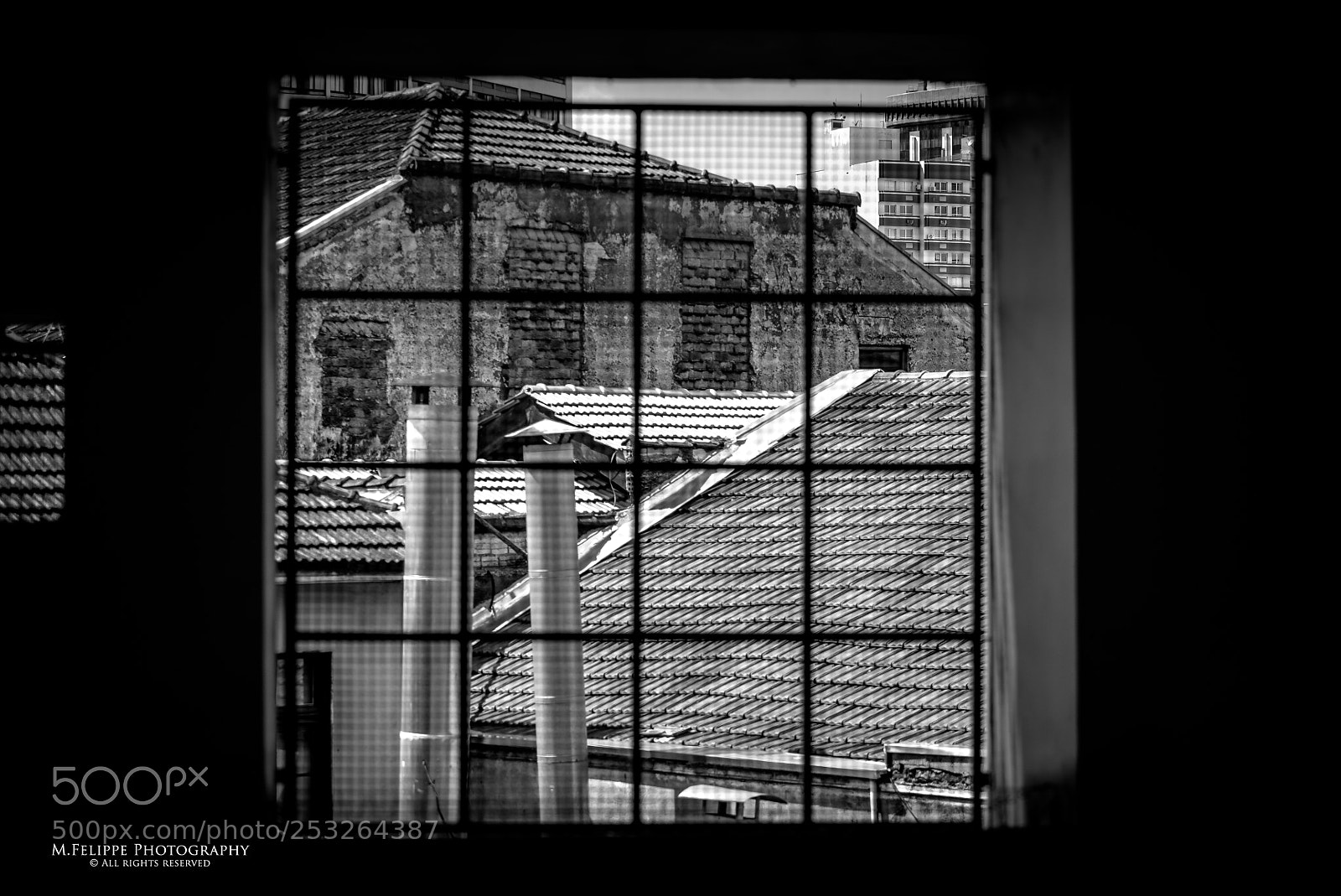 Sony a7S II sample photo. Noir #65 photography