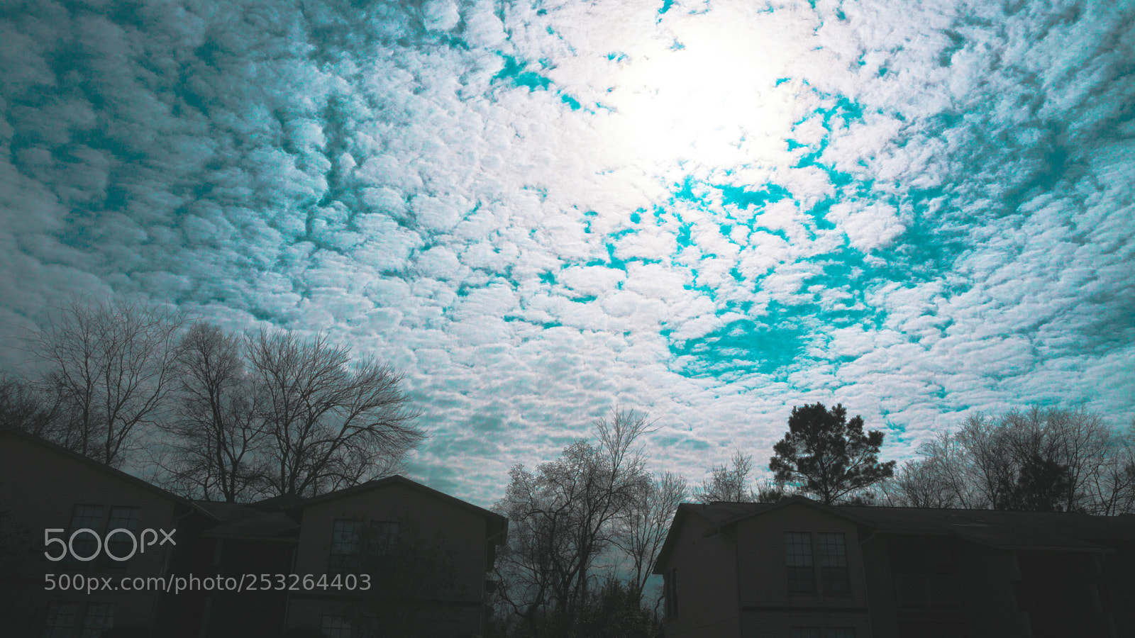 Sony a6000 sample photo. Dsc photography
