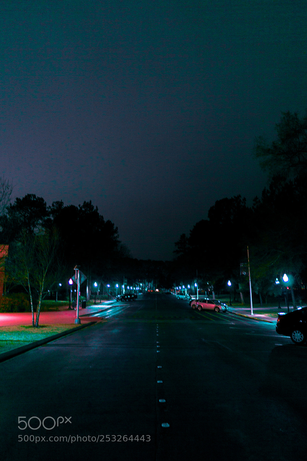 Sony a6000 sample photo. Dsc photography