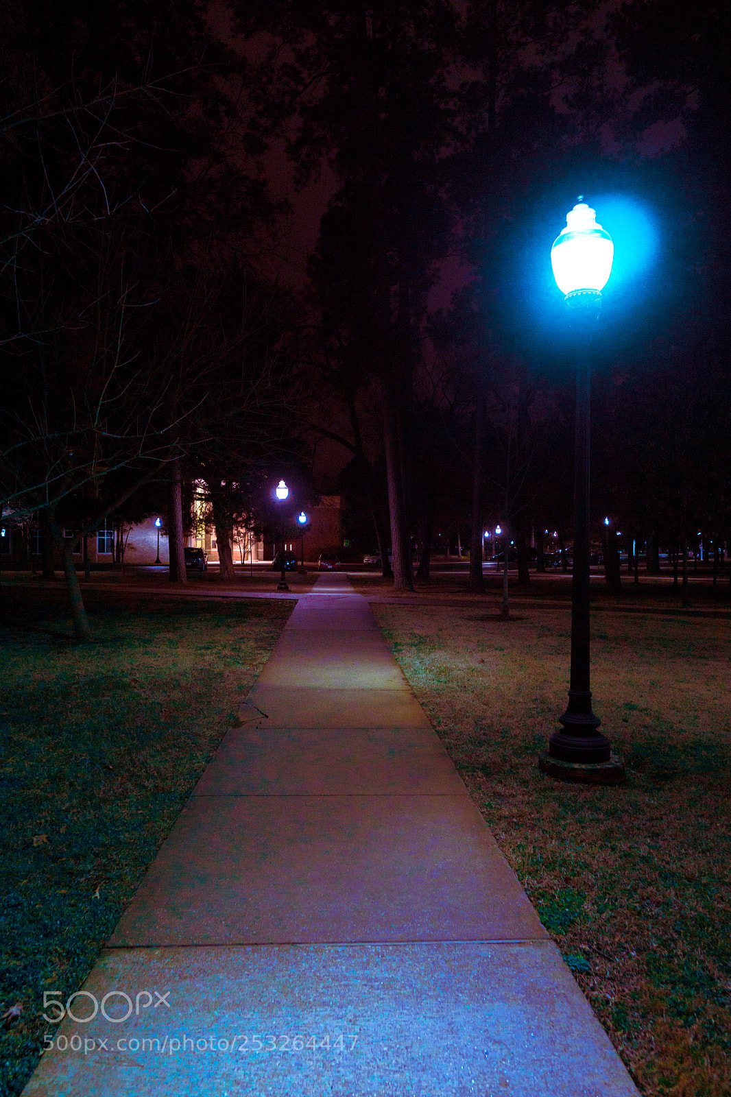 Sony a6000 sample photo. Dsc06688-3.jpg photography