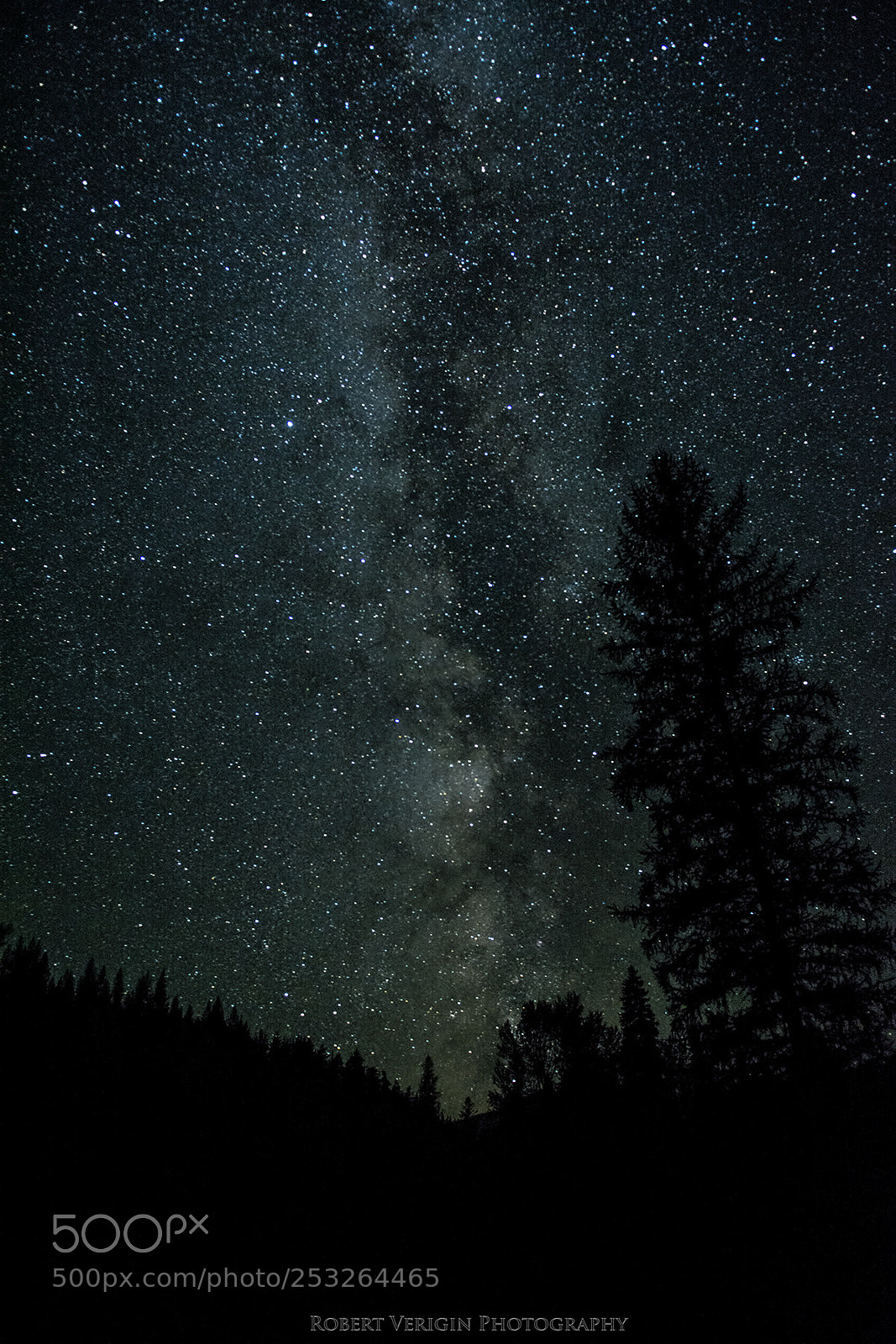 Nikon D7100 sample photo. Forest to the stars photography