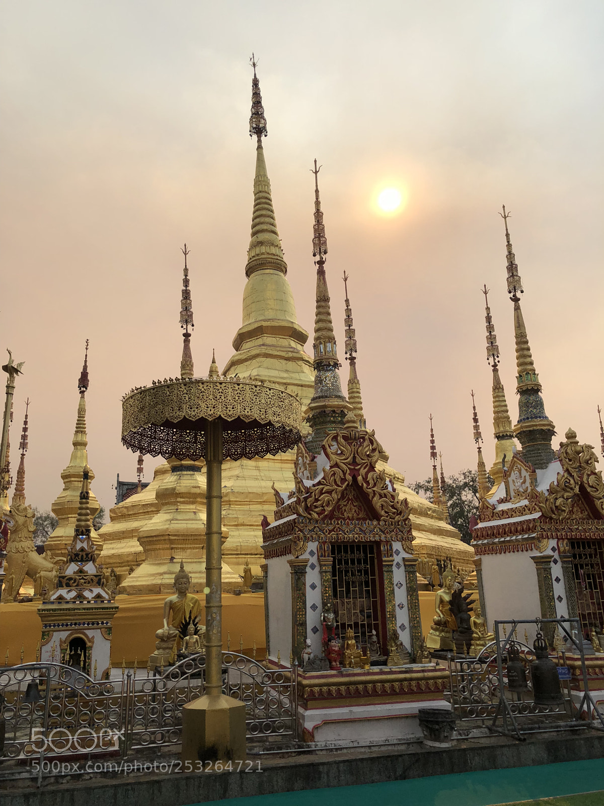 Apple iPhone 8 Plus sample photo. Untitled photography