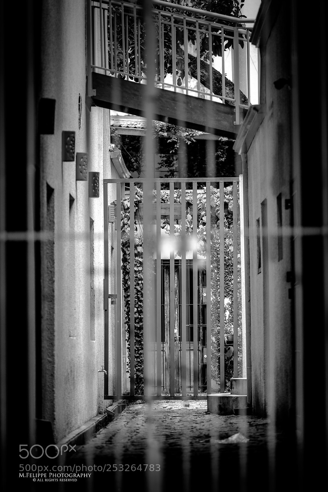 Sony a7S II sample photo. Noir #71 photography