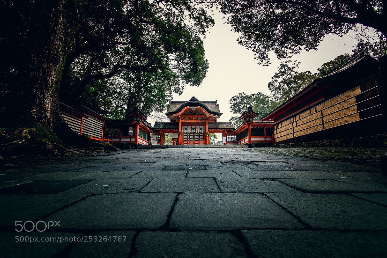 Sony a99 II sample photo. Usajingu photography
