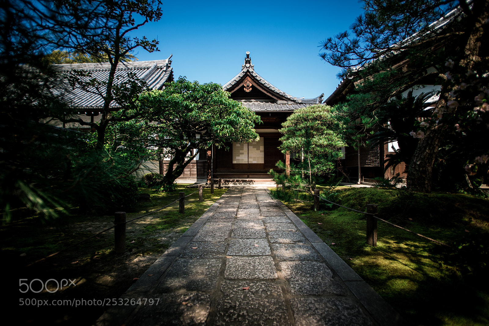 Sony a99 II sample photo. Hukuoka photography
