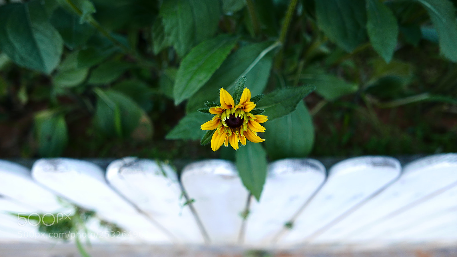Leica D-Lux (Typ 109) sample photo. Untitled photography