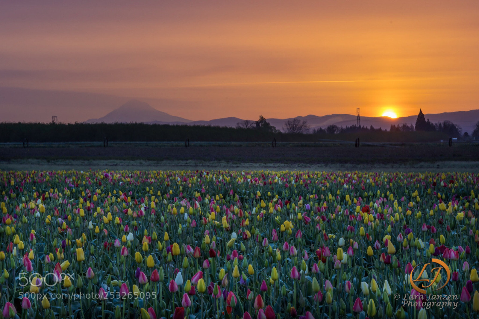 Nikon D7200 sample photo. Sunrise over mt hood photography