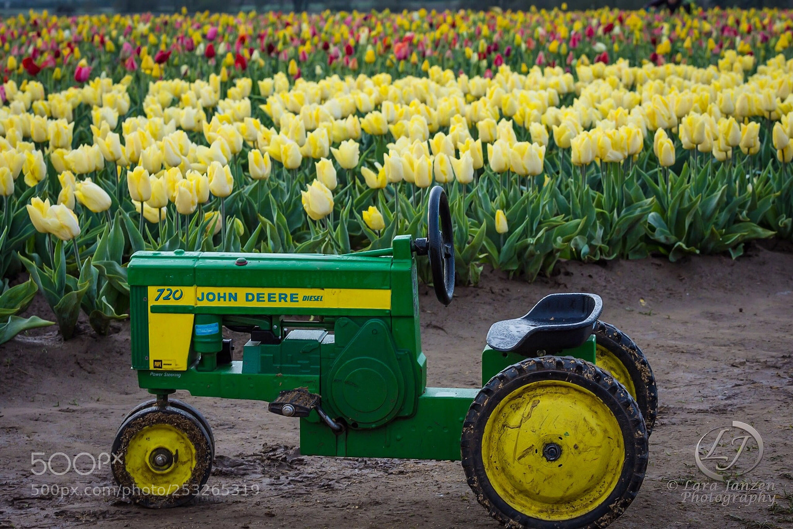 Nikon D7200 sample photo. A little deer, tractor photography