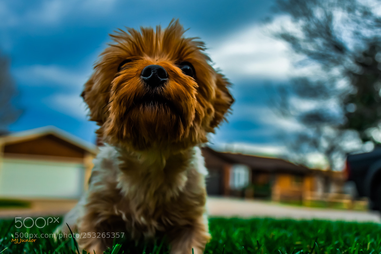 Nikon D7500 sample photo. Phoebe!!! photography
