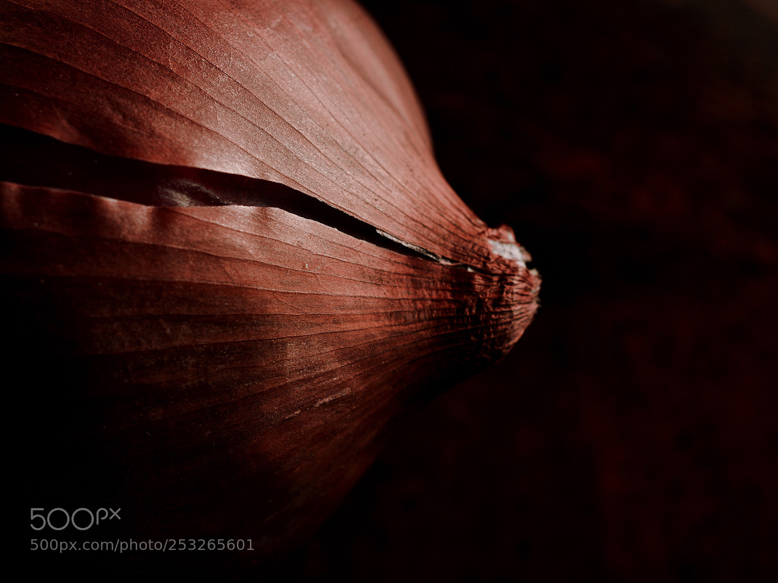 Nikon D7100 sample photo. The red one photography