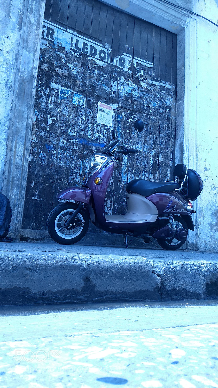 Motorola Moto G (5) Plus sample photo. Mirada de perro 1 photography