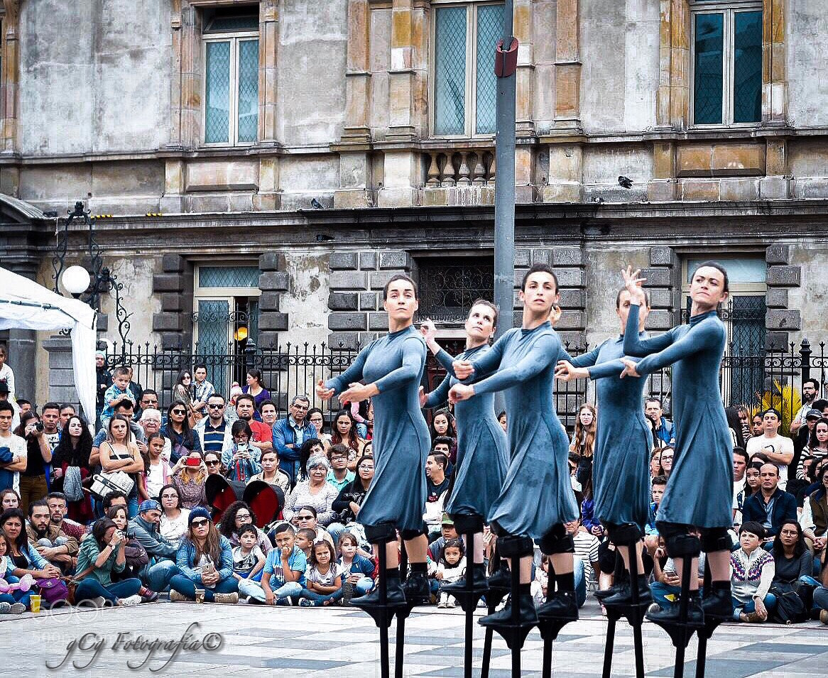 Nikon D5500 sample photo. La belleza del fia 2018 photography
