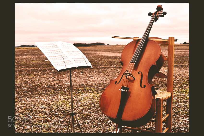 Nikon D5300 sample photo. Rehearsing in the field photography