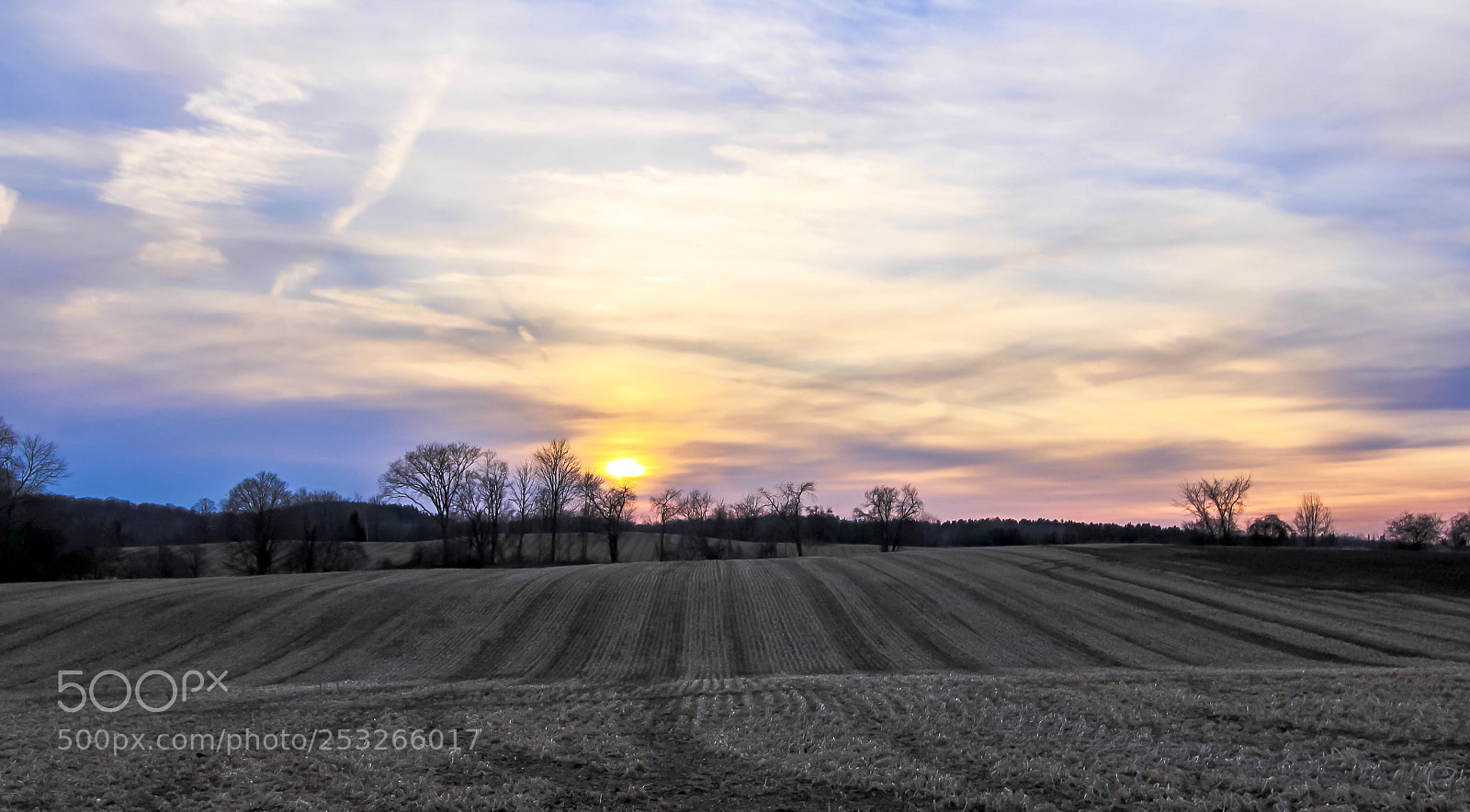 Canon EOS 60D sample photo. Sunset  photography