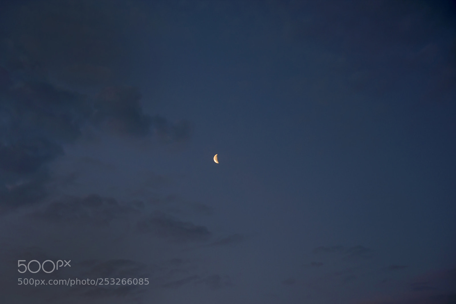 Canon EOS 40D sample photo. Man on the moon photography