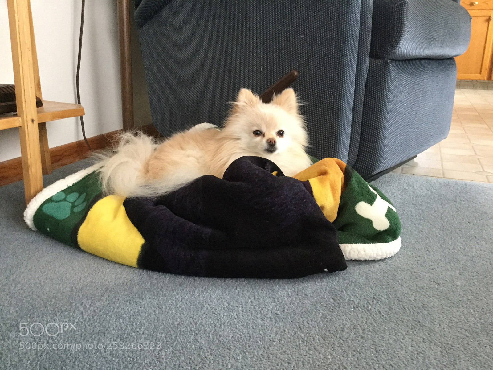Apple iPad Air 2 sample photo. Untitled photography