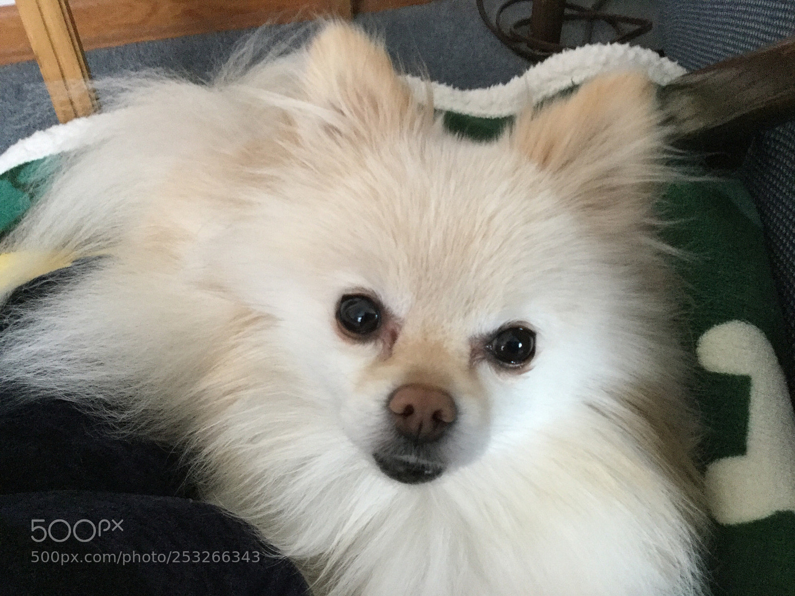 Apple iPad Air 2 sample photo. Untitled photography