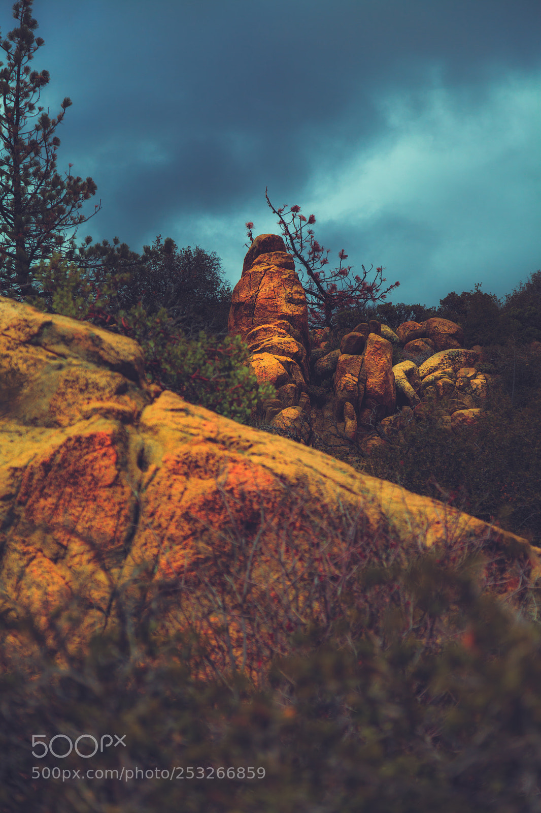 Canon EOS 5D Mark II sample photo. San bernardino national forest photography