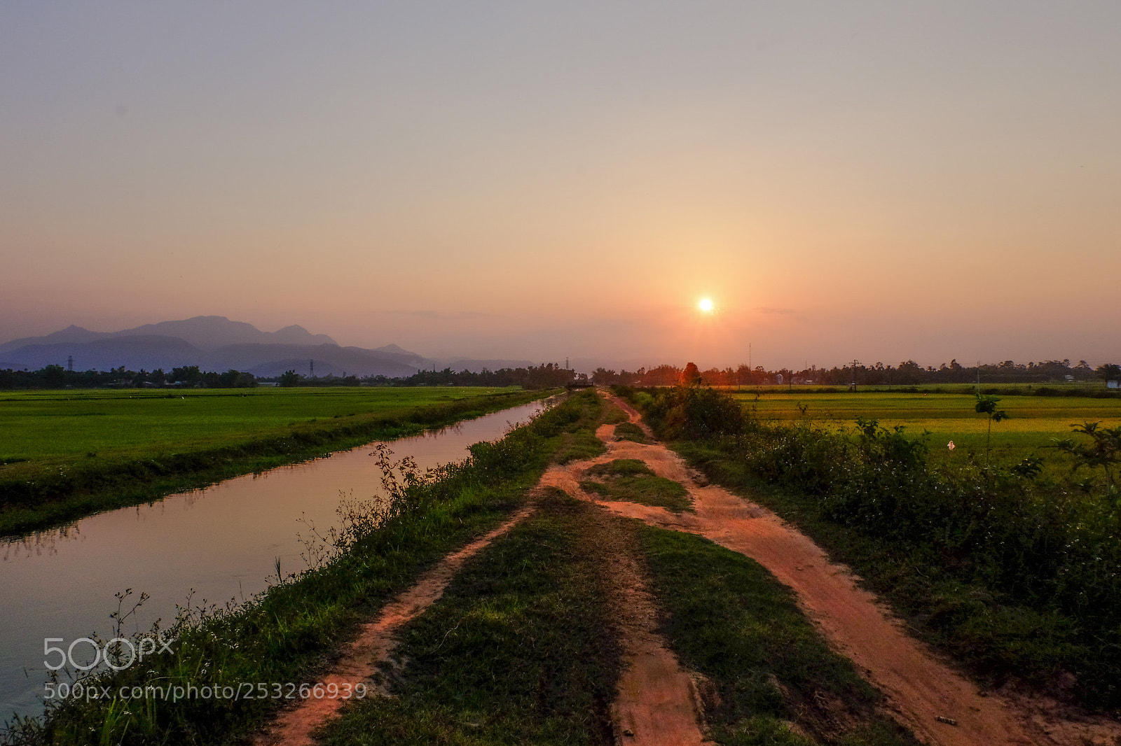 Fujifilm X-T1 sample photo. Quang ngai photography