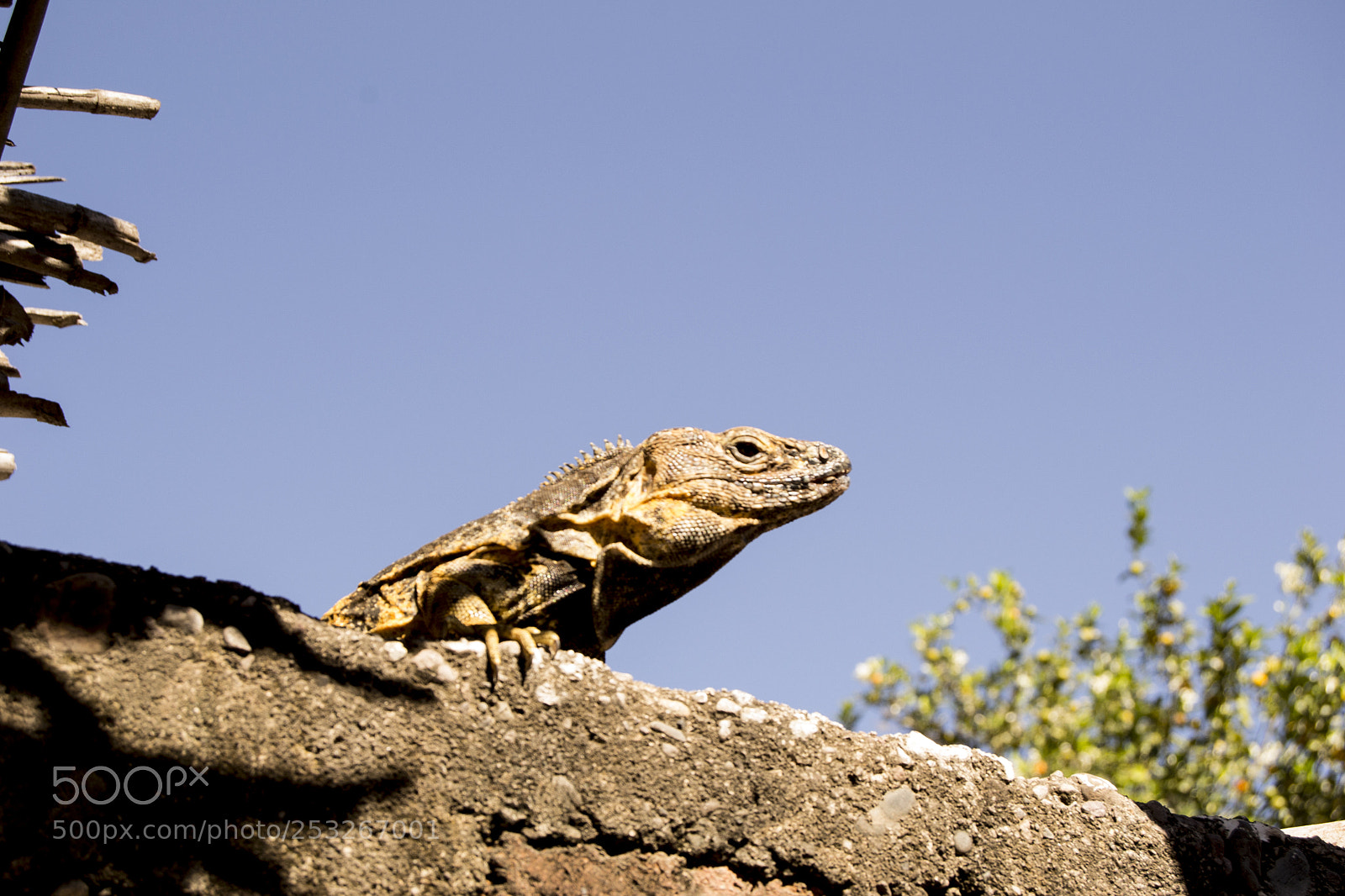 Nikon D3100 sample photo. Untitled photography