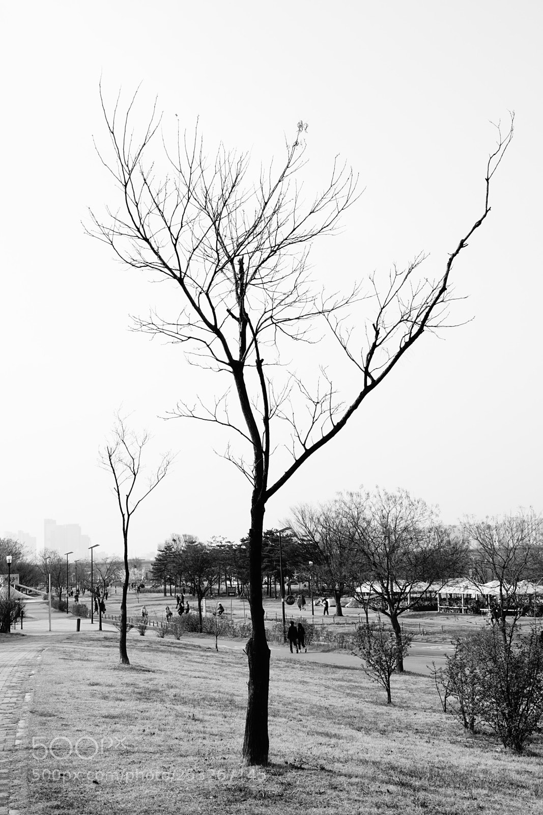 Sony Cyber-shot DSC-RX10 IV sample photo. Untitled photography