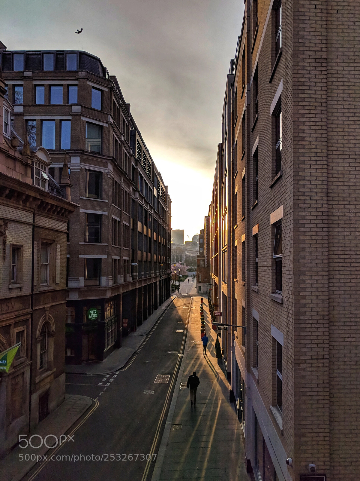 Google Pixel XL sample photo. Into the morning sun photography