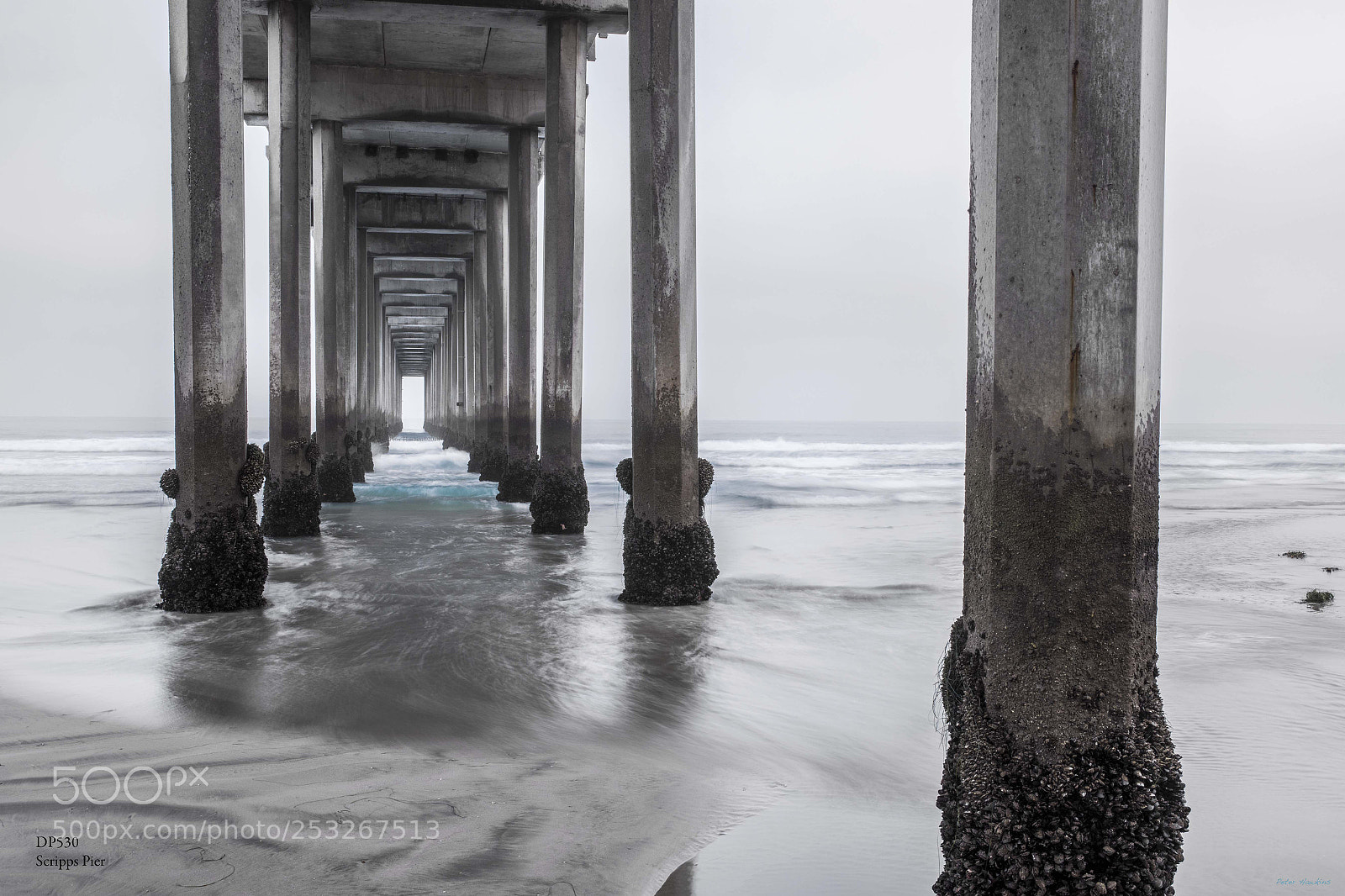 Nikon D810 sample photo. Dp530 scripps pier photography
