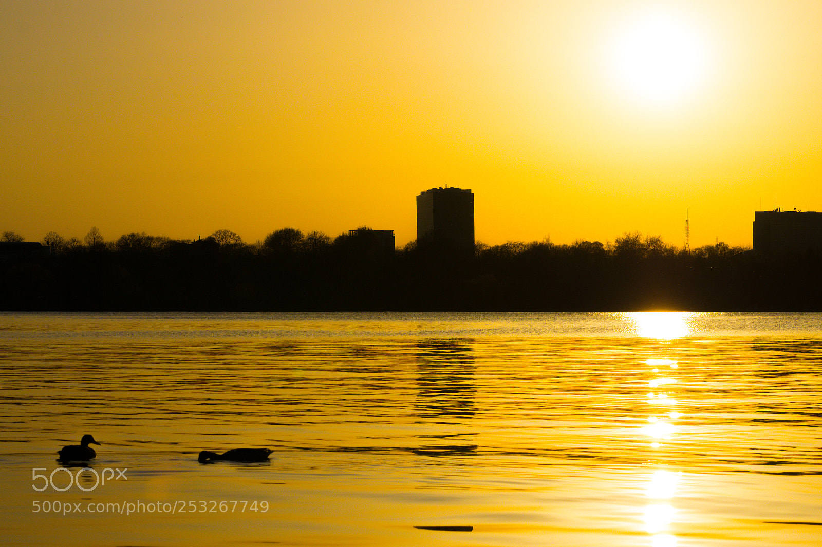 Nikon D5300 sample photo. Enjoying some sunset warmth. photography