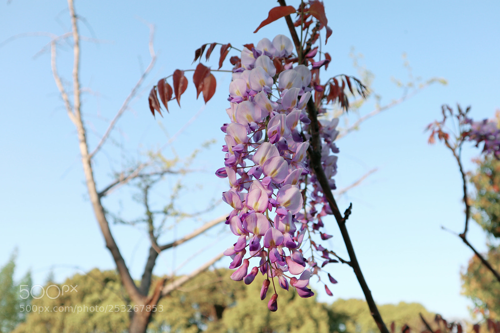 Canon EOS M6 sample photo. Untitled photography