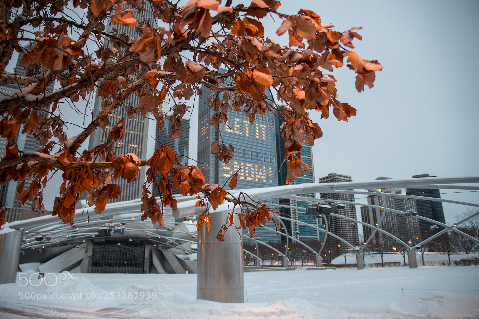 Nikon D500 sample photo. () photography