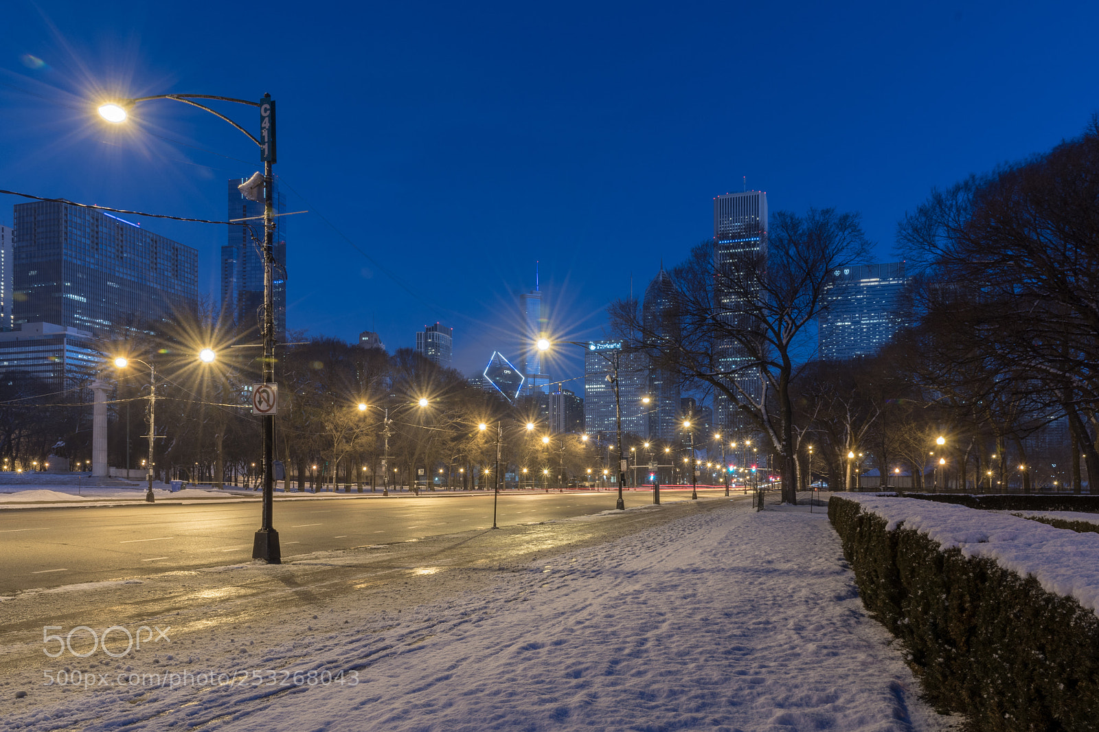 Nikon D500 sample photo. () photography