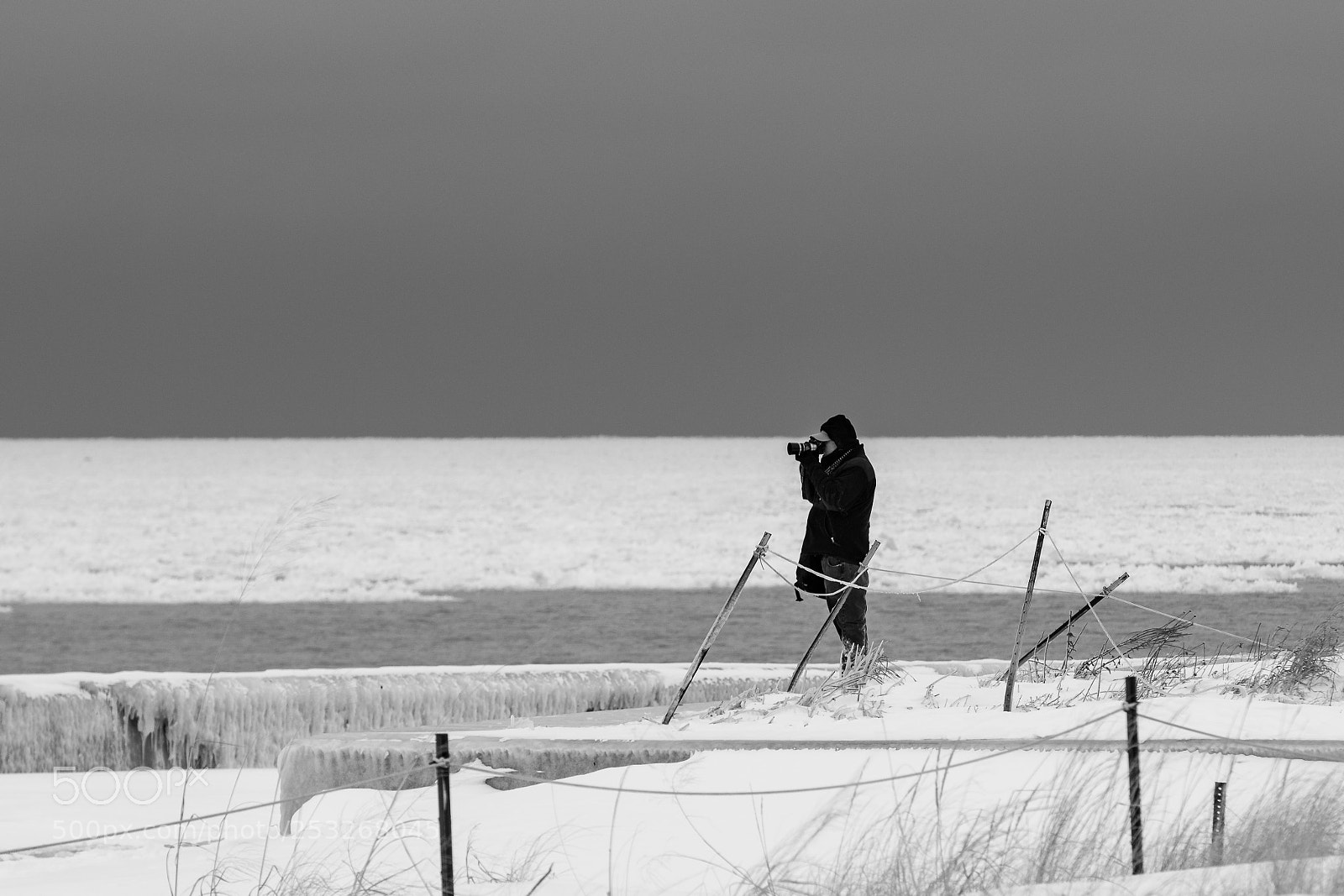 Nikon D500 sample photo. () photography