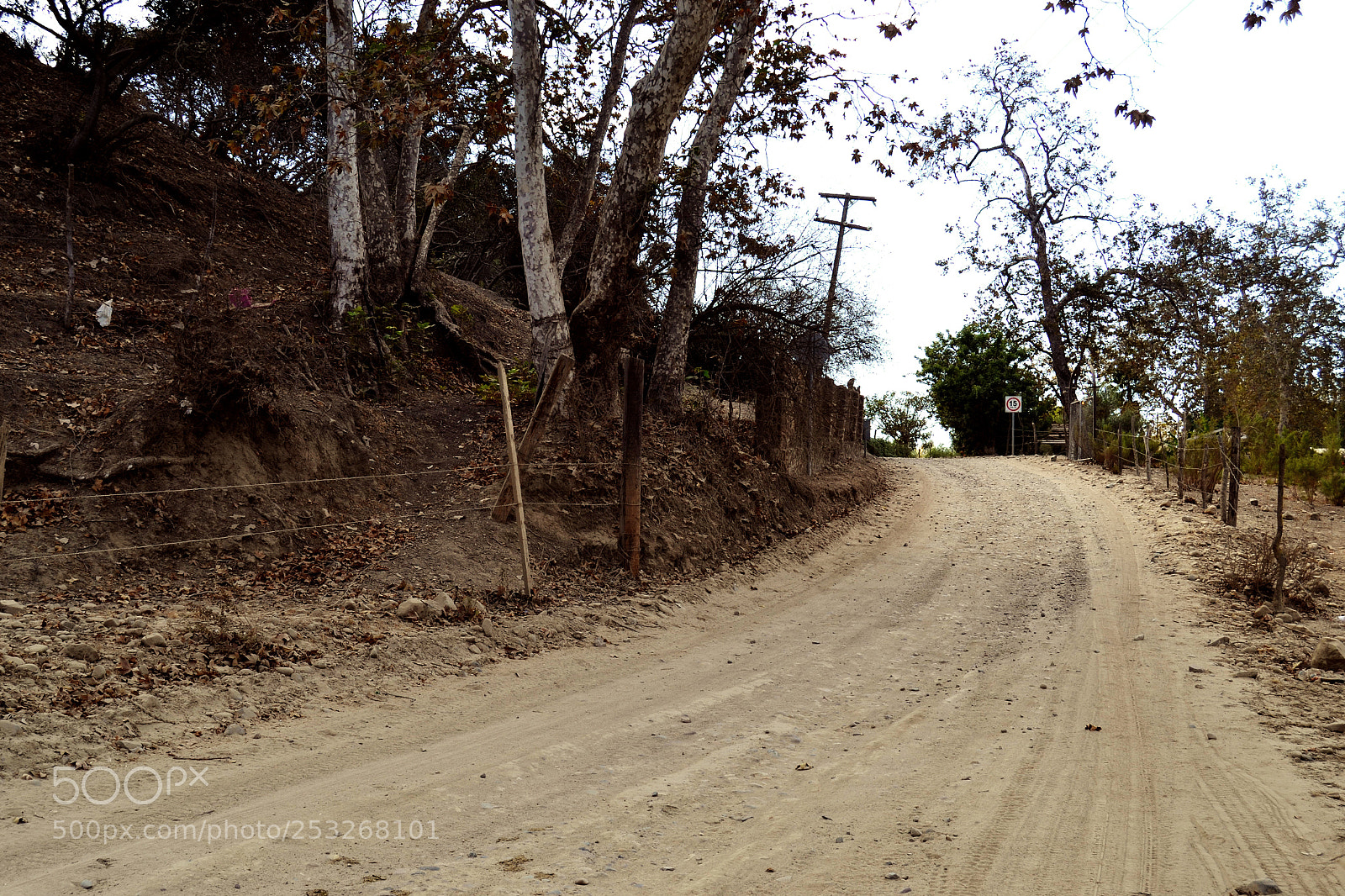 Nikon D3100 sample photo. Untitled photography