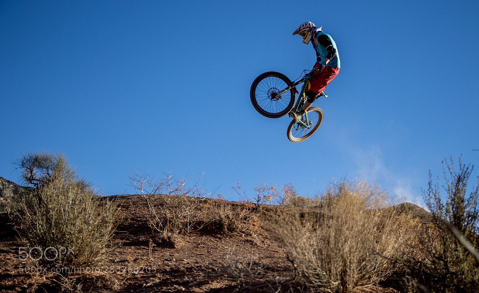 Canon EOS 7D Mark II sample photo. Just hanging around photography