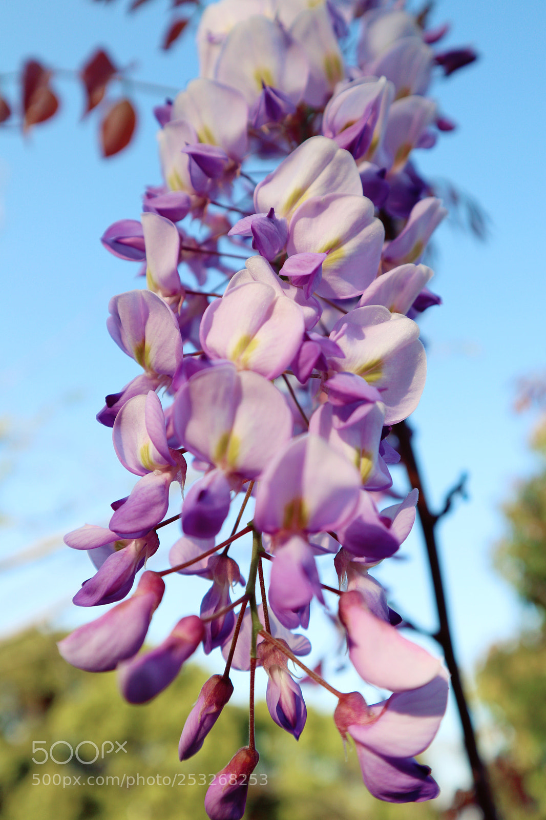 Canon EOS M6 sample photo. Untitled photography
