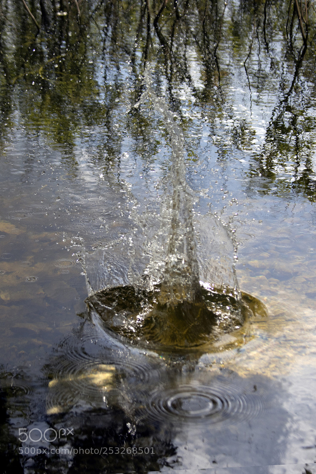 Canon EOS 5D Mark IV sample photo. Lake photography