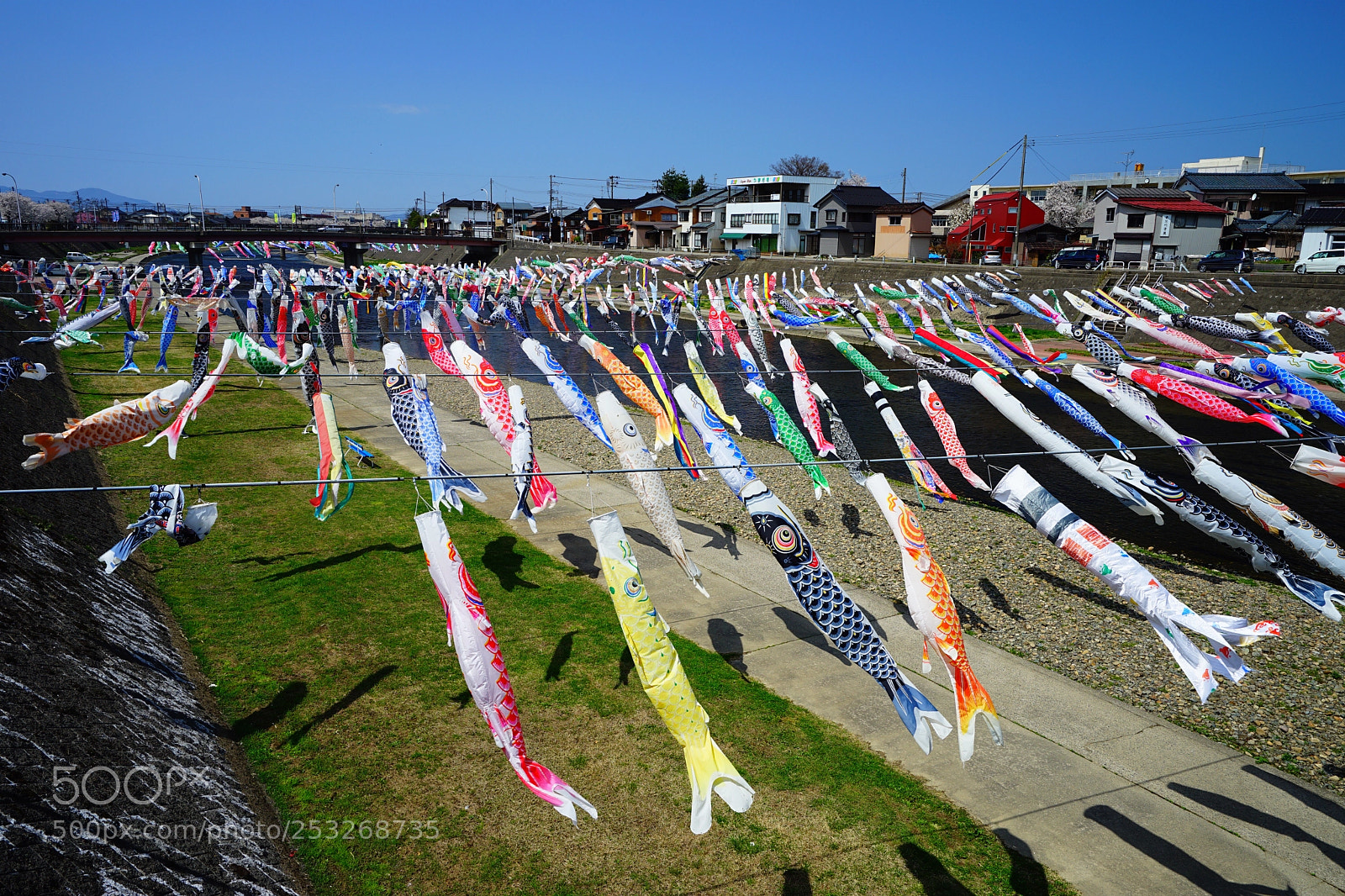 Sony a7 II sample photo. Carp streamer photography