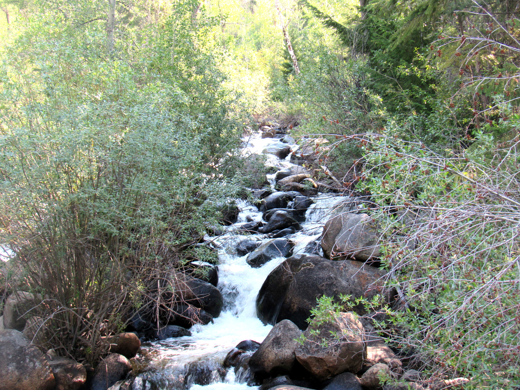 Canon PowerShot SX520 HS sample photo. Running water photography