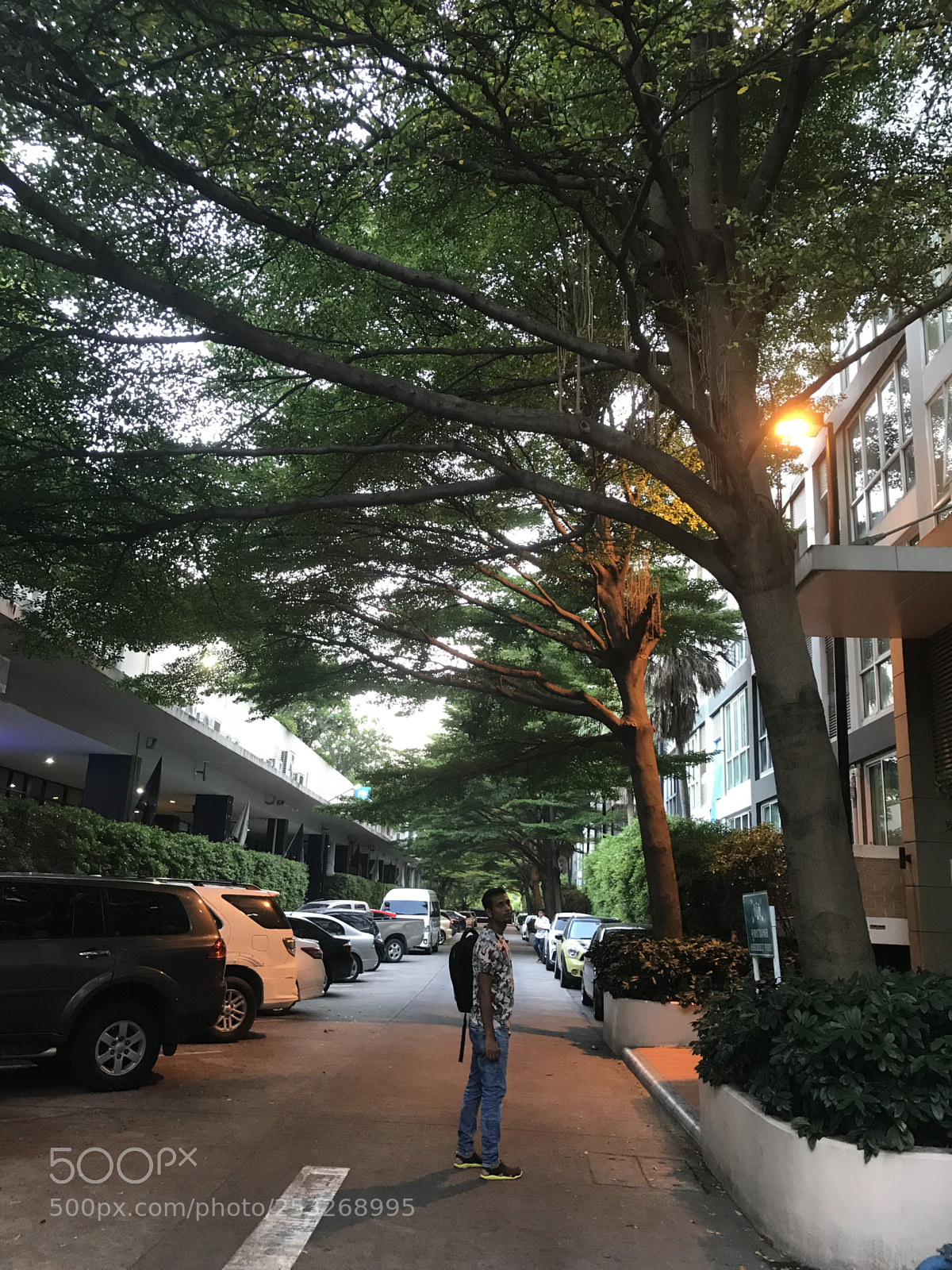 Apple iPhone 7 sample photo. Way to home photography