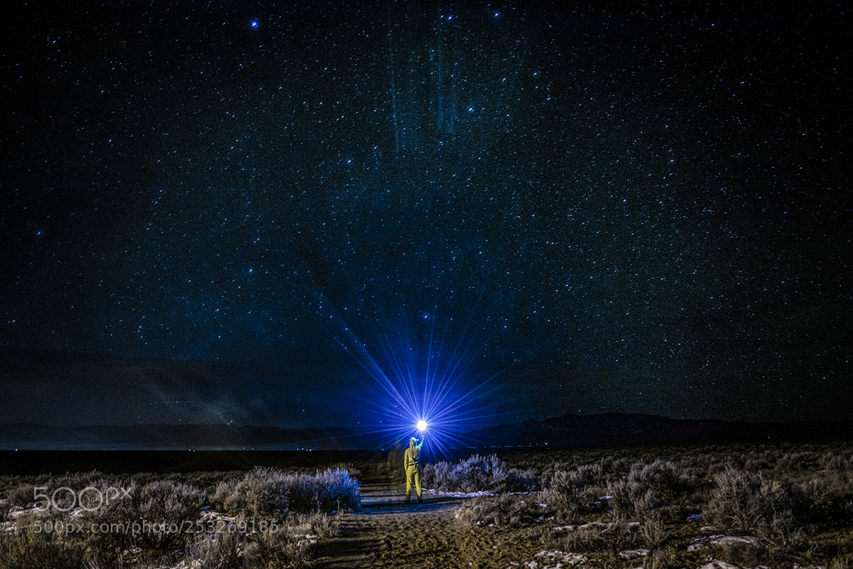 Nikon D3300 sample photo. Under the stars of photography