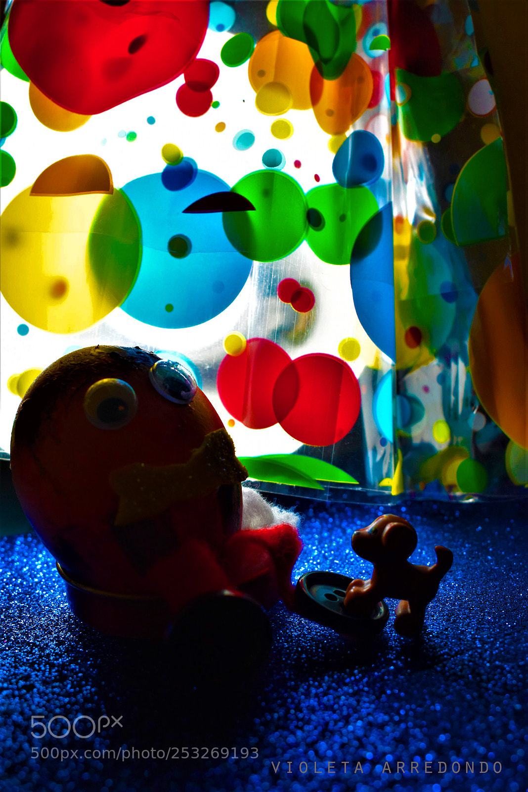 Nikon D5600 sample photo. Contraluz photography