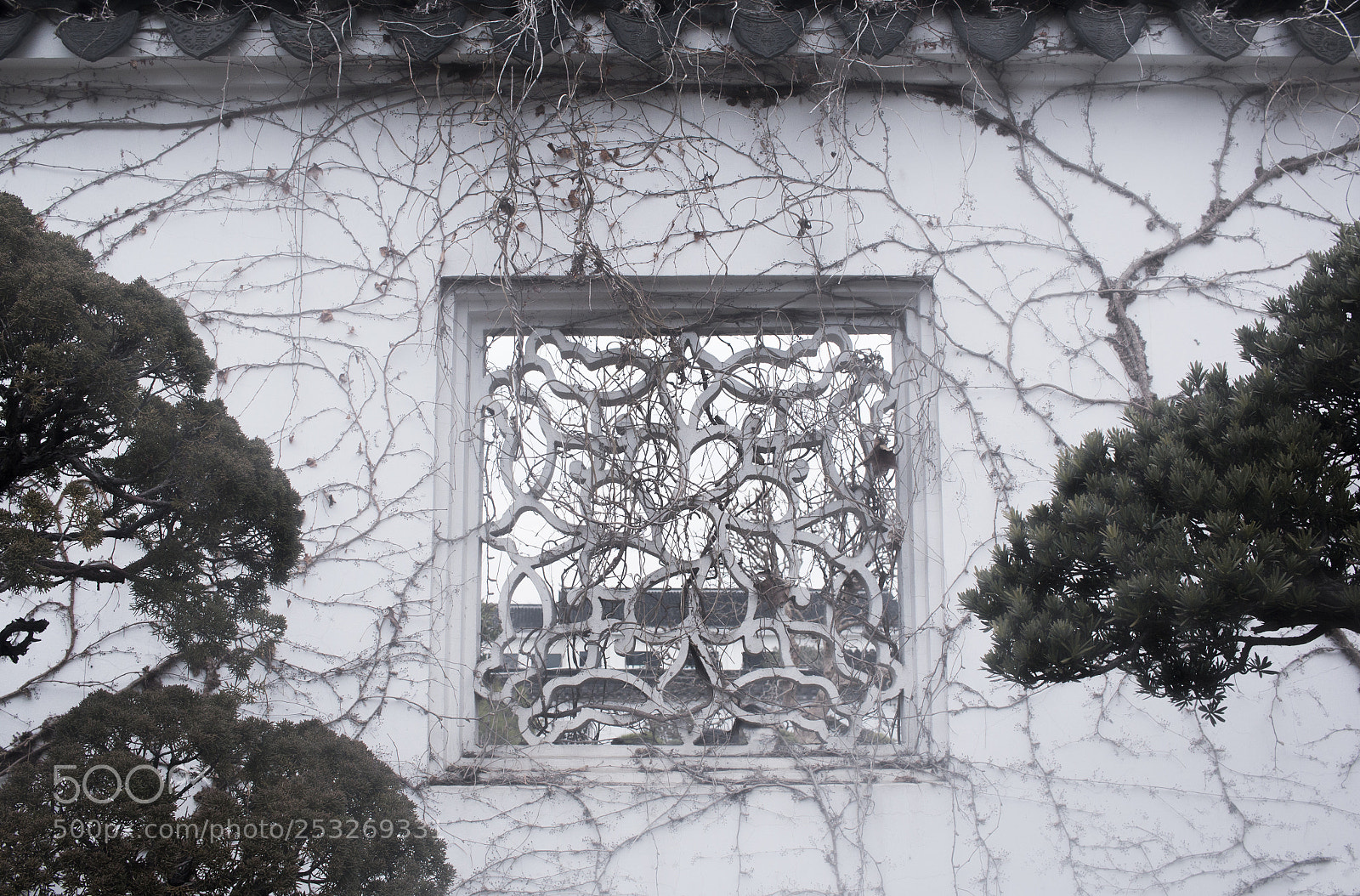 Canon EOS 70D sample photo. Untitled photography