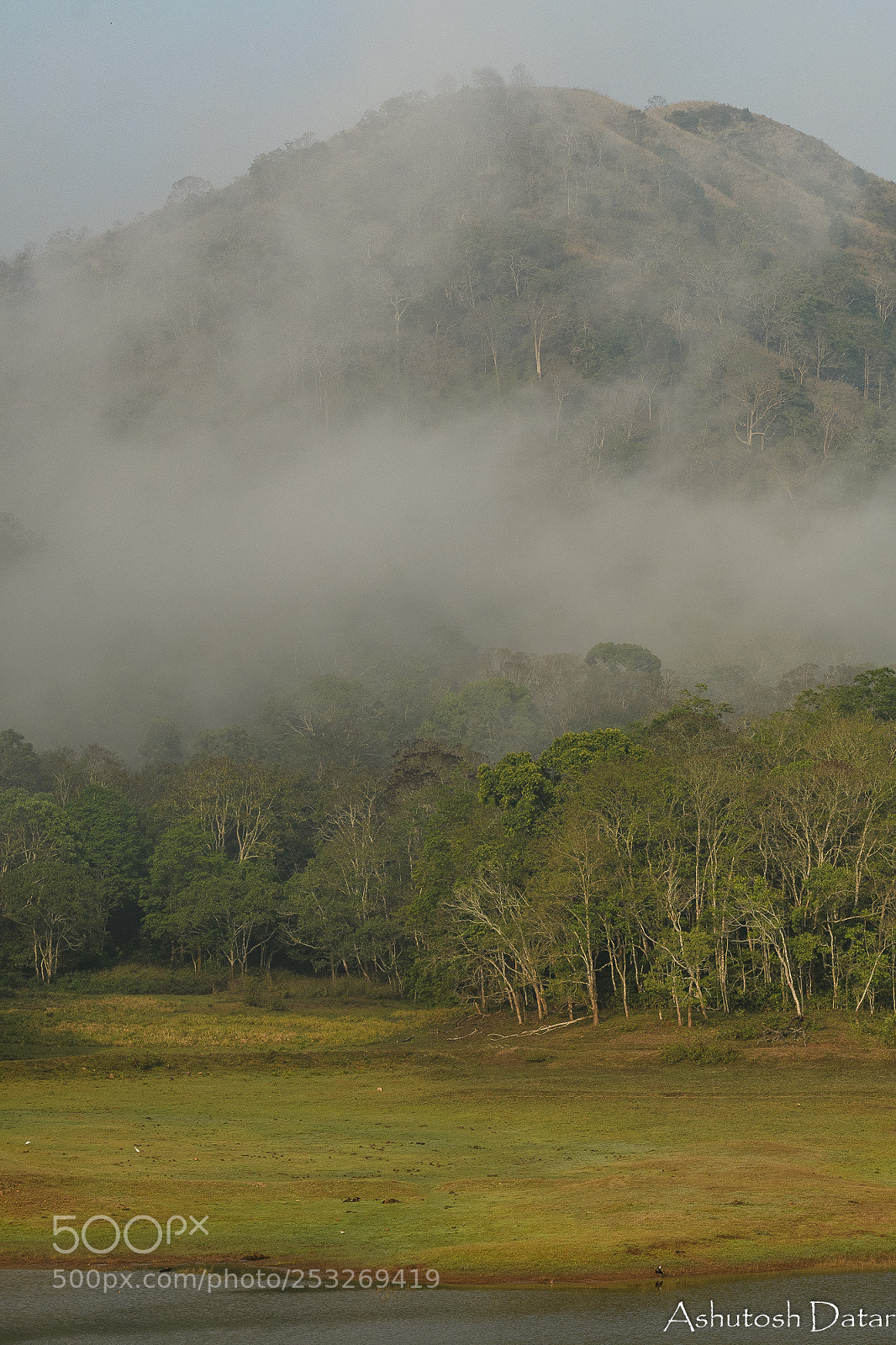 Nikon D500 sample photo. Foggy morning photography