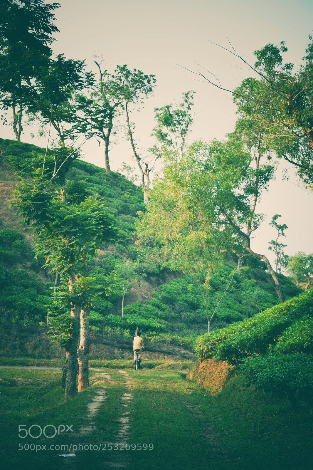 Nikon D5300 sample photo. Untitled photography