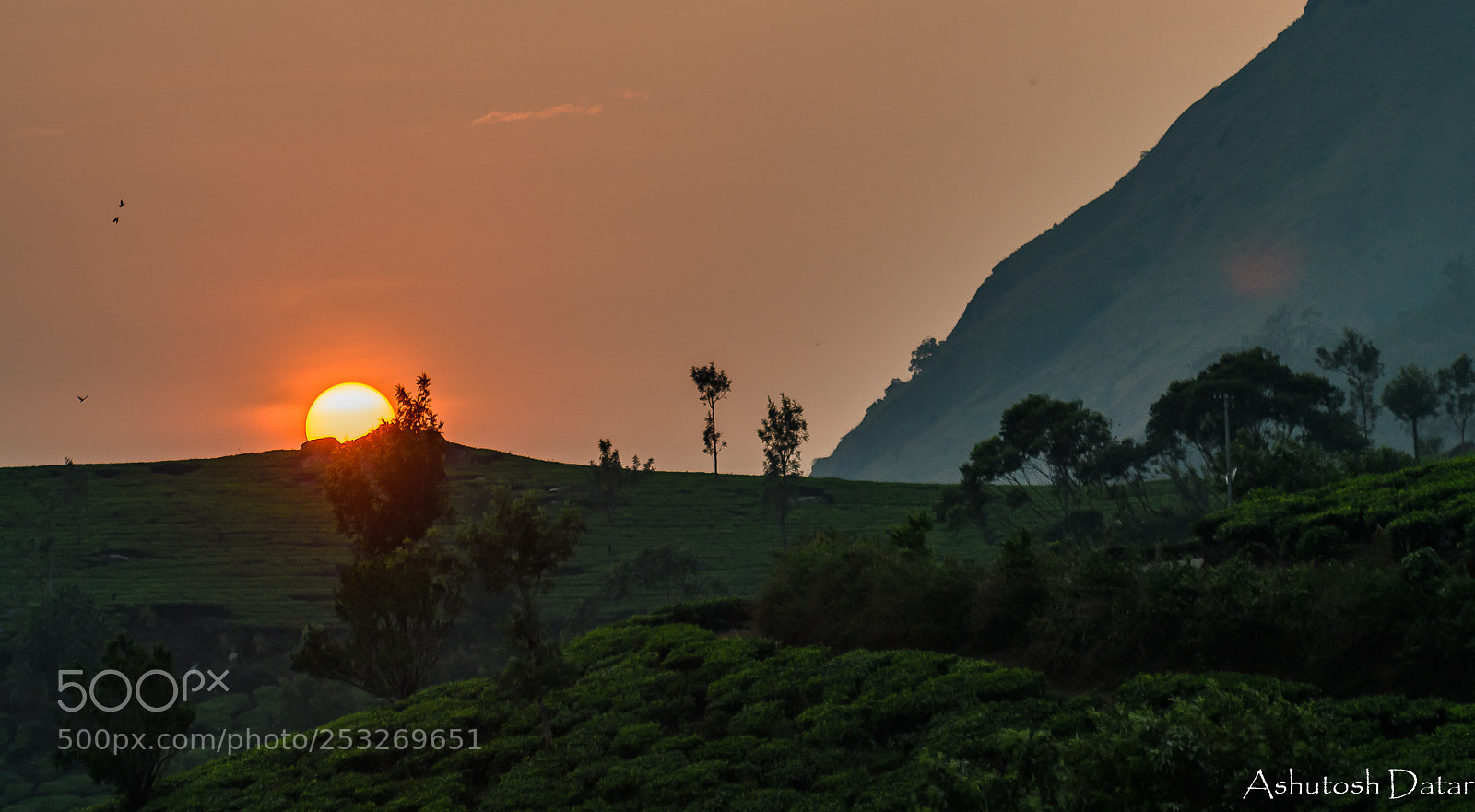 Nikon D500 sample photo. Sunset at munnar photography