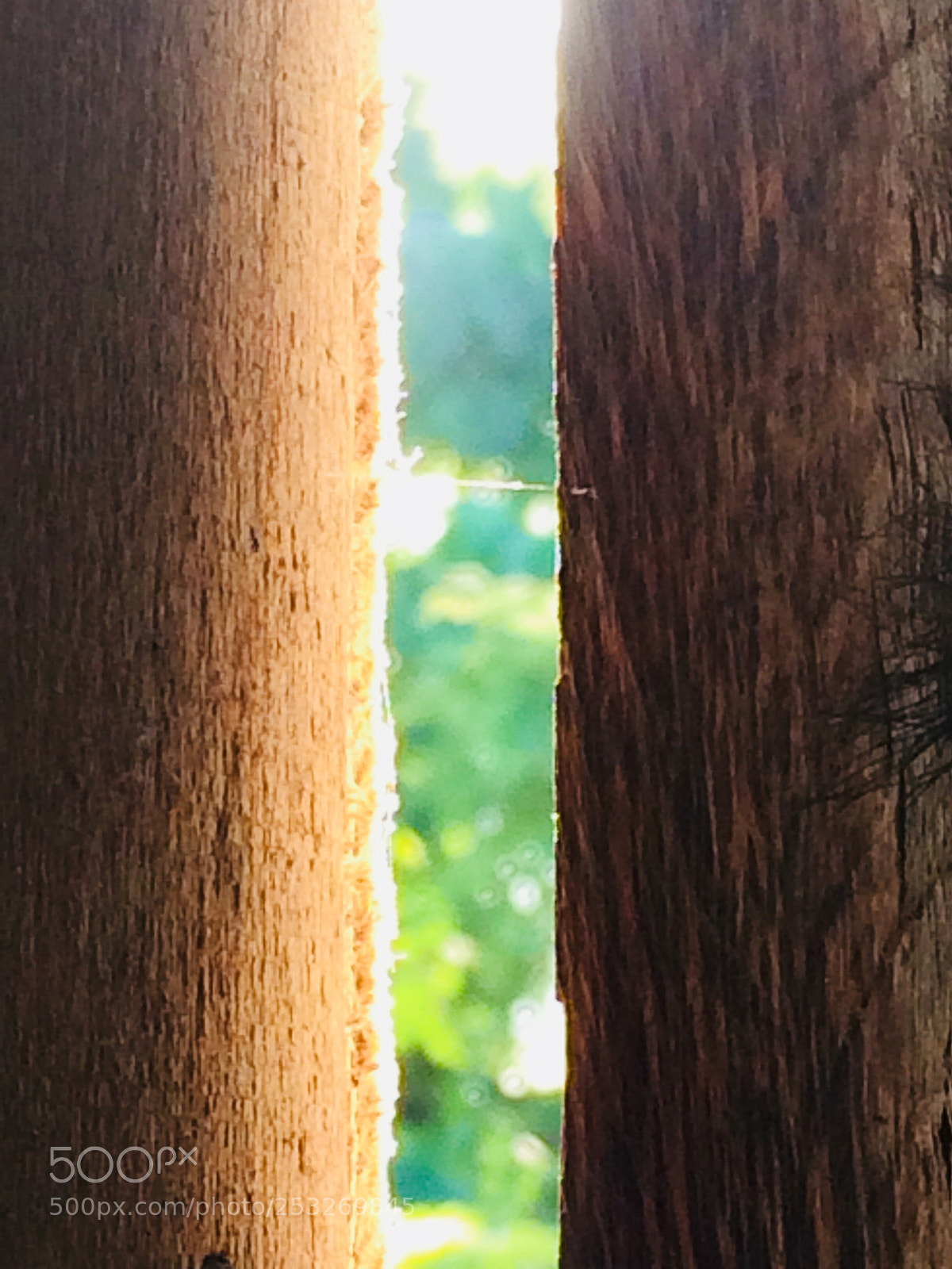 Apple iPhone 5s sample photo. Looking outside  photography