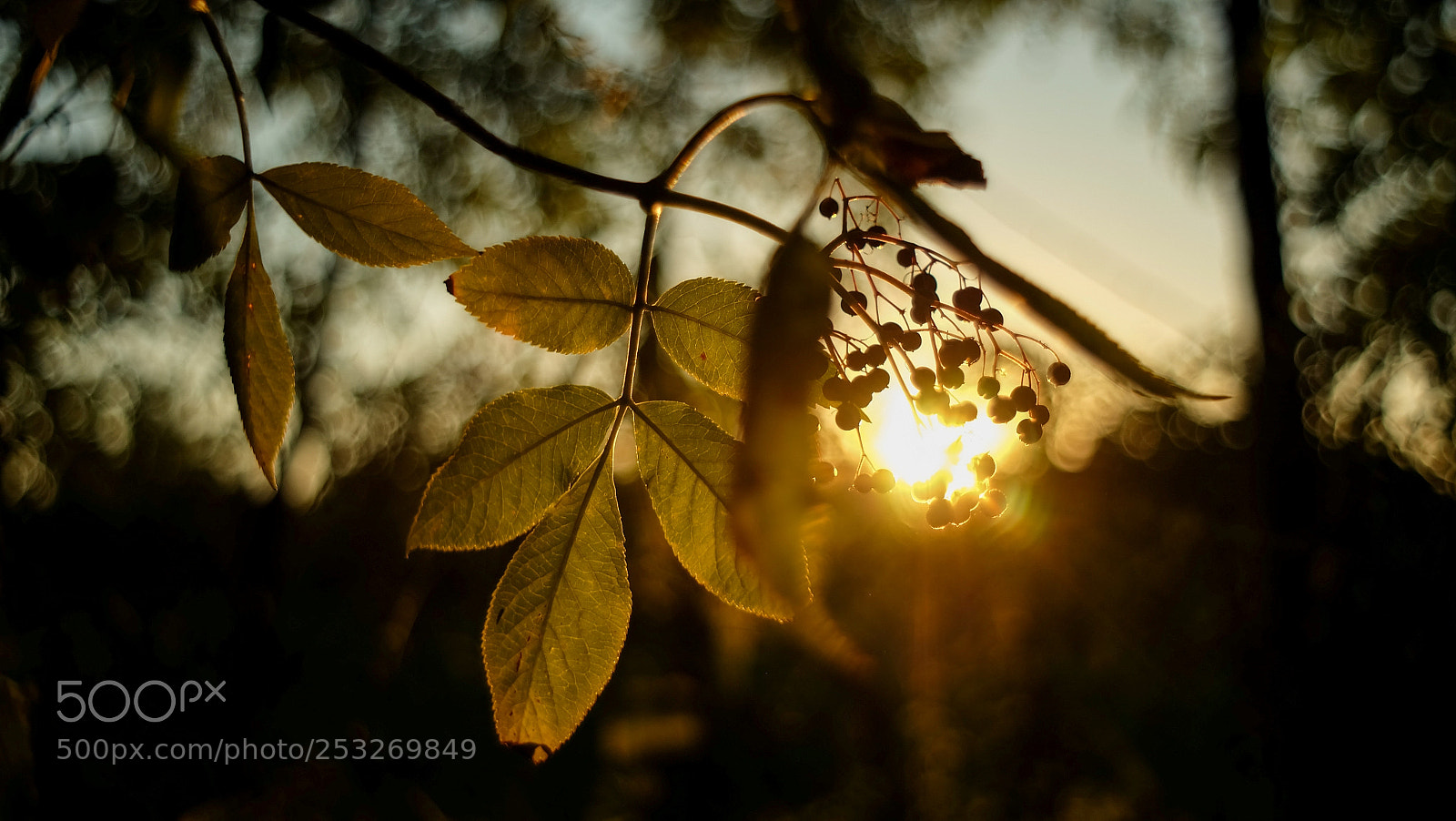 Fujifilm X-A1 sample photo. Untitled photography