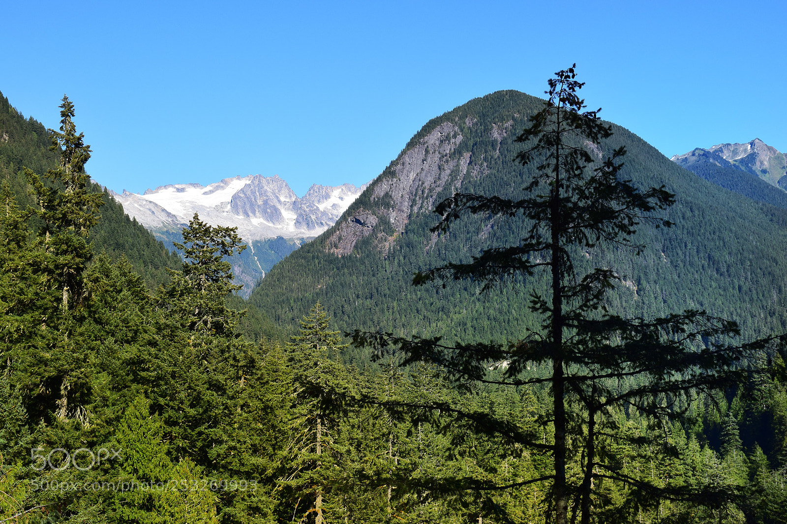 Nikon D5300 sample photo. Taryn rehn mountains photography