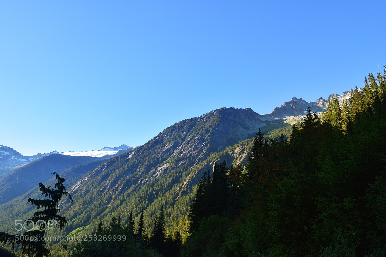 Nikon D5300 sample photo. Washington trails photography