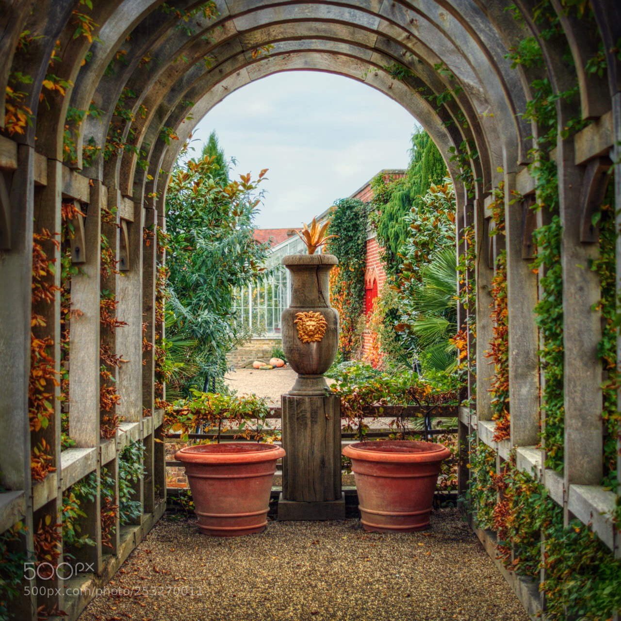 Olympus OM-D E-M10 sample photo. Leafy arches photography